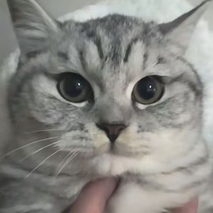 hippop范（Prod By FireX）