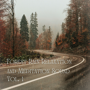 Forest Rain Relaxation and Meditation Sound Vol. 1 - 3 Hours