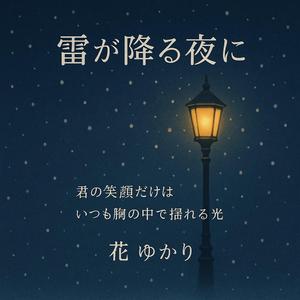 雪が降る夜に