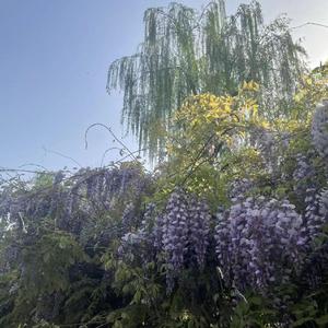 我不是你的宋冬野