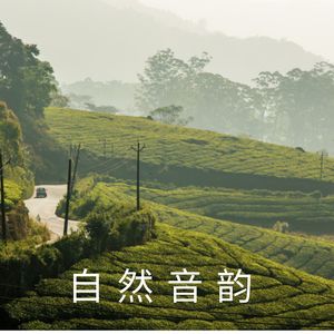 安心时光 (可循環序列)