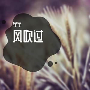 失眠者的无意义夜聊 (精美音乐)