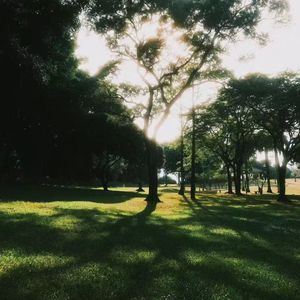 【Free】“回忆”吉他抒情伤感typebeat