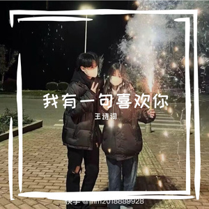 我有一句喜欢你