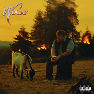WDGAF