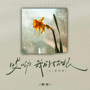 哎呦我的姑娘 (DJ棋棋版)