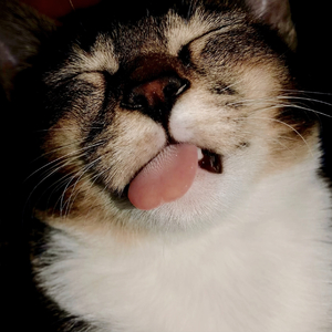 田园狂想曲(遗城牧歌2DJ小雷).wav