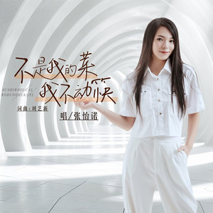 不是我的菜我不动筷