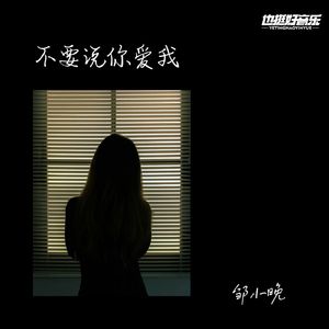 不要说你爱我