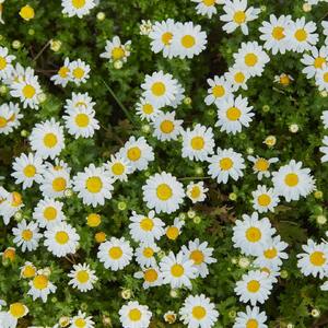 我的孤独认出你的孤独