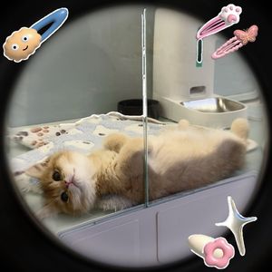 不要等太久（Prod by AZYAIRE）