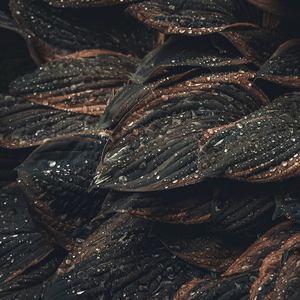 Relájate En El Abismo