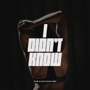 I Didn't Know (Original Mix)