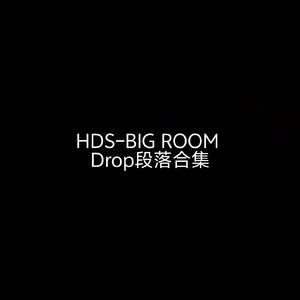 HDS-DROP合集