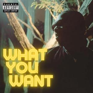 What You Want