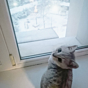 секс символ