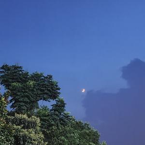 女孩，忘了他 伴奏