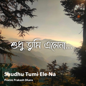 Shudhu Tumi Ele Na