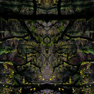 Enigma of the Sonic Jungle