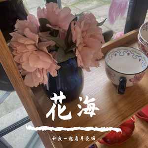 花海（钢琴版）