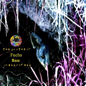 Schrödingers Techno