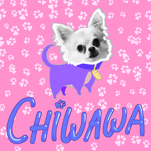 Chiwawa