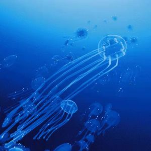 想见你想见你想见你 纯钢琴完整版