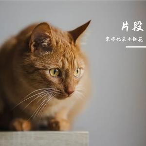 还想和你谈论宇宙和天空