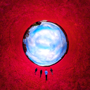 Pétales de Crâne