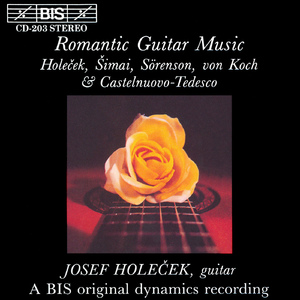 Guitar Sonata in D Major in D Major, Op. 77, "Omaggio a Boccherini":IV. Vivo ed energico