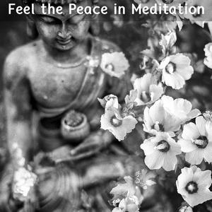 Enhancing The Immune System Meditation