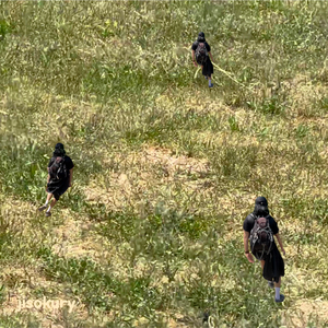 생각없는생각에털썩머무르자