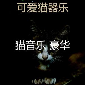抚慰的睡猫回忆