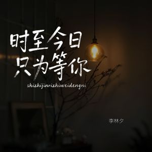 时至今日只为等你