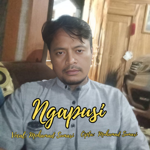 Ngapusi