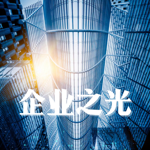企业之光