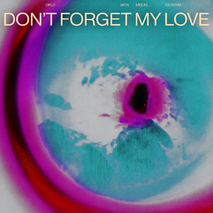 Don't Forget My Love (CID Remix)