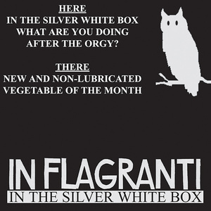 In The Silver White Box