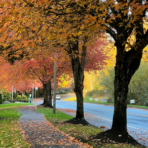 星空中的八音盒吖