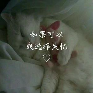 选择失忆（片段）