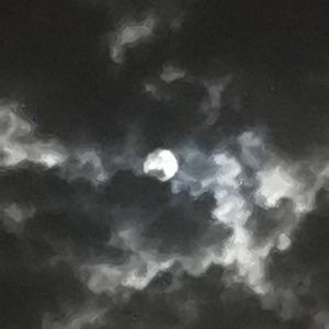 [Free]"阴间音乐" Trap beat