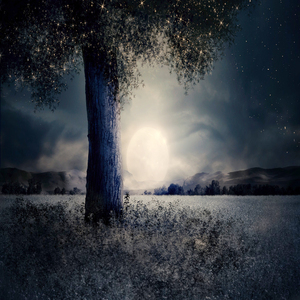 숙면을 위한 피아노