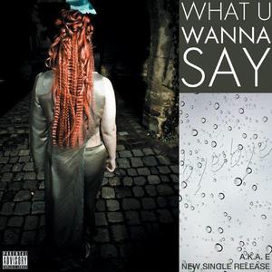 What U Wanna Say