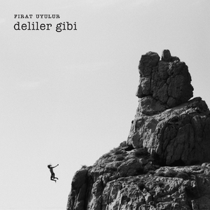 Deliler Gibi