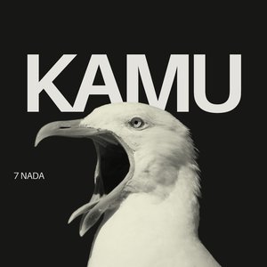 Kamu