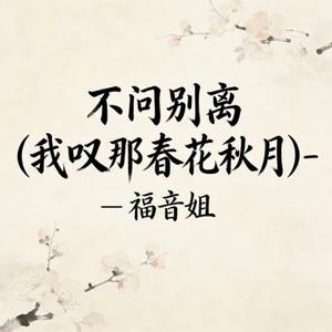 不问别离 (烟嗓版)