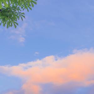 假装（片段版）