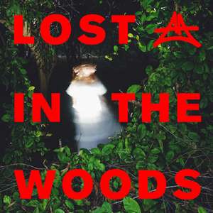 Lost In The Woods (Extended Mix)