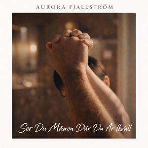 Ser du månen där du är ikväll? (Cover)