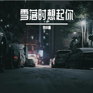 雪落时想起你